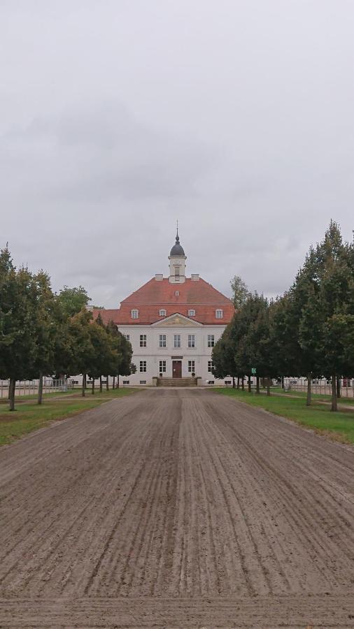Fewo In Neustadt/Dosse, Der Stadt Der Pferde Leddin エクステリア 写真